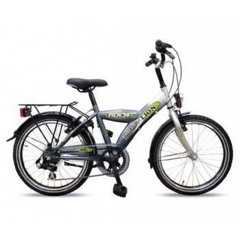 Kinderfiets 20" Golden Lion Boys 6V Bright Aluminium / Titanium