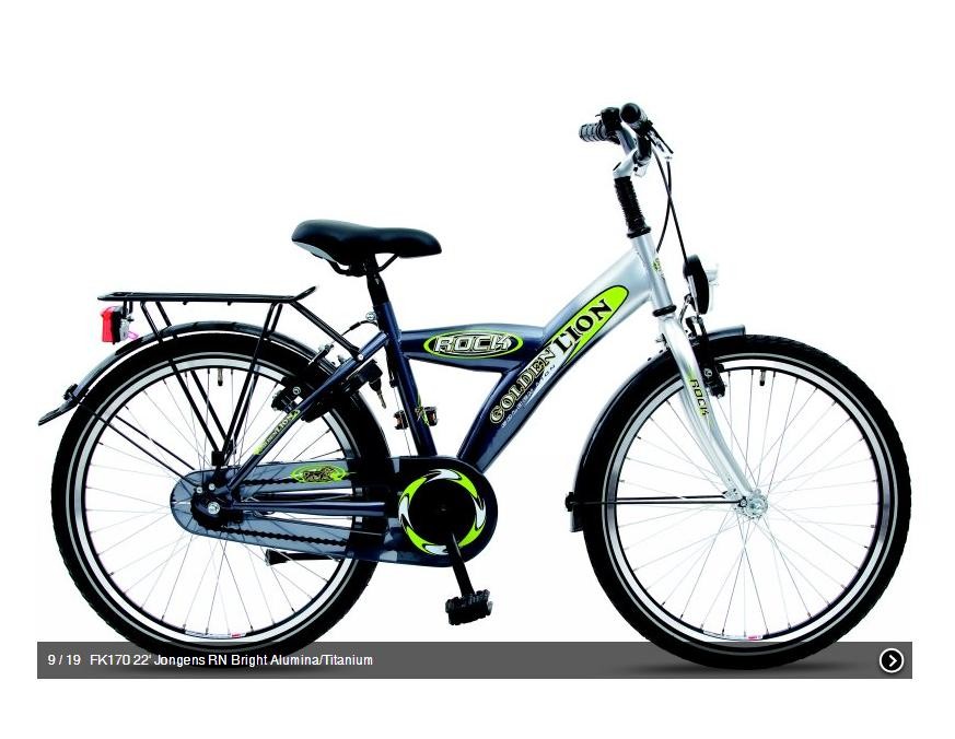Kinderfiets 22" Golden Lion Boys Bright Aluminium / Titanium