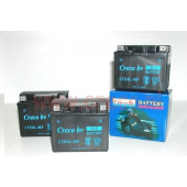 Accu Ecoline 12 Volt 5 Ampere